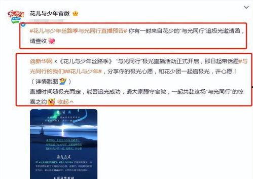 爆料冰島最新視頻,壯觀景象震撼全球！