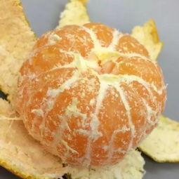 橘子最新爆料視頻,娛樂圈幕后真相大曝光！