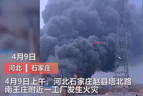 魏縣最新事件爆料視頻大全,現場直擊，真相揭秘