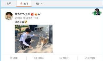 王暖暖最新爆料微博是真的嗎,王暖暖最新爆料微博真實性揭秘