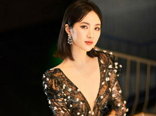 姚安娜最新爆料,揭秘娛樂圈驚人內(nèi)幕