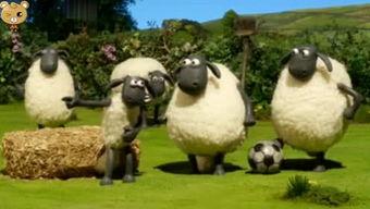 小羊返場最新爆料,最新爆料帶你領略全新風采